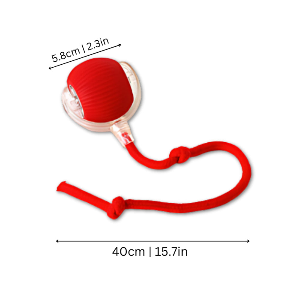 Automatic Chase Ball Cat Toy – Motorized Rolling Sphere with Unpredictable Movement