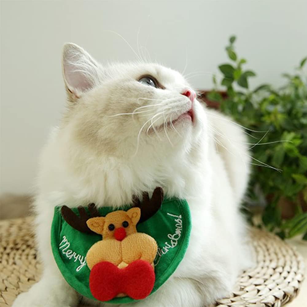 Cute Pet Holiday Hat