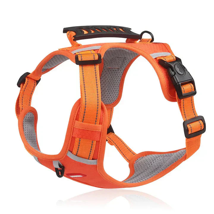 Davy | Dog No-Pull Harness with Padded Comfort and Reflective Accents