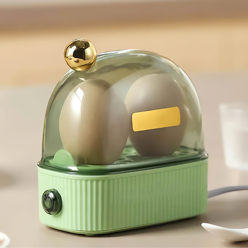 Davy | Electric Egg Cooker Steamer for Breakfast