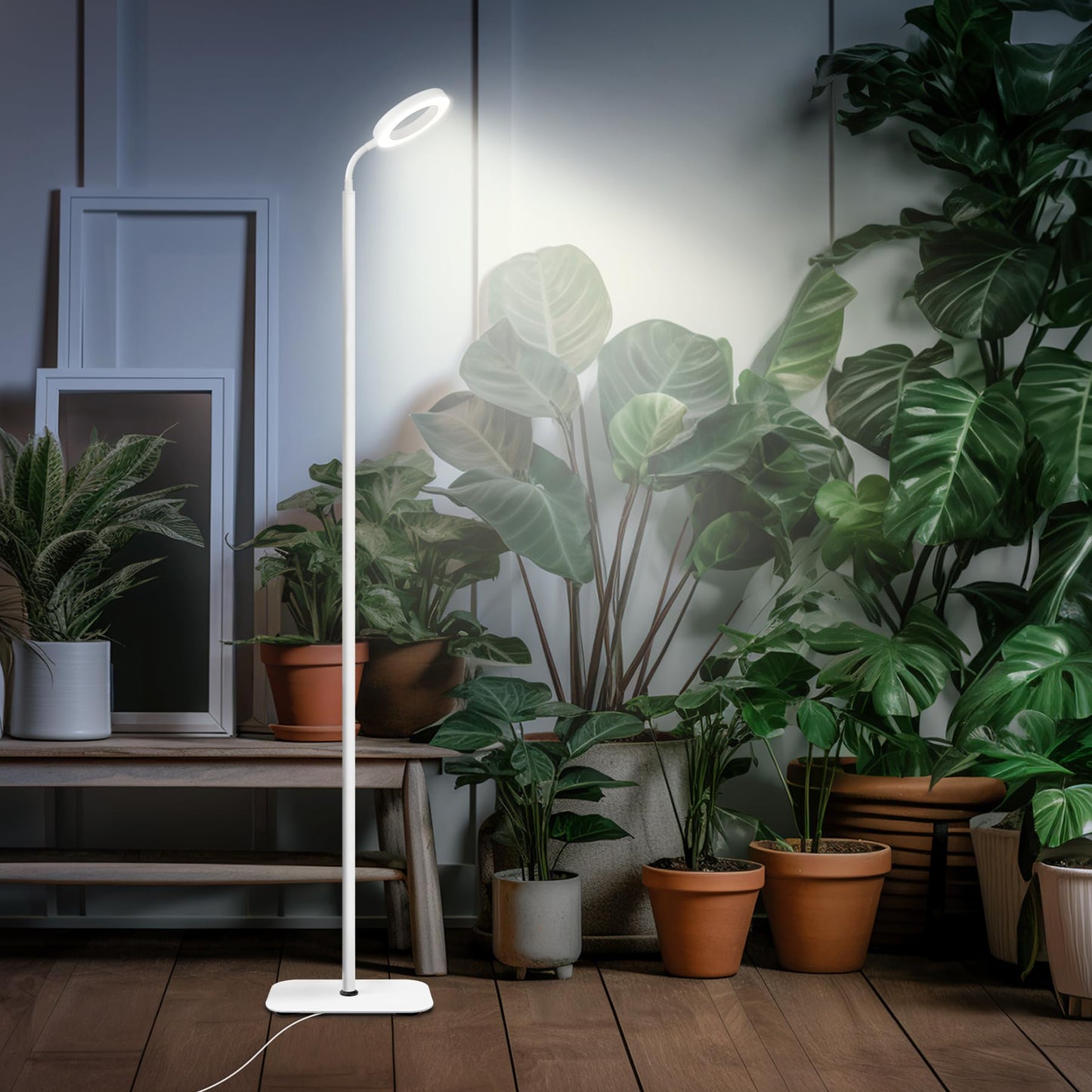 Davy | Mistyjungle Growth Light For Indoor Plants, Floor Full Spectrum Plant Light With Stand, Large Grow Lights With Automatic Timer, 60 Inches Height Adjustable, 10 Level Dimmable, White Halo LED Grow Lamp