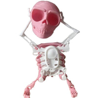Divertido Juguete de Figura Esqueleto 3D