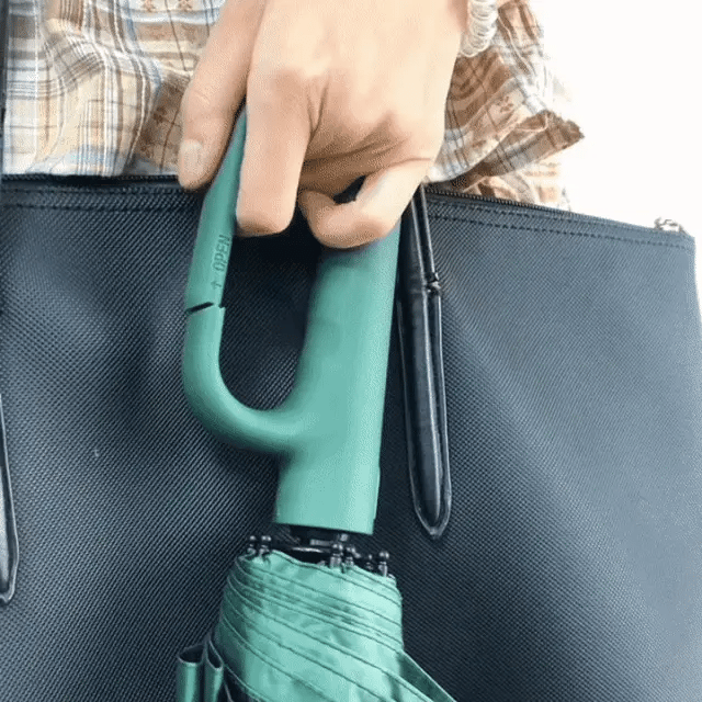 AerisGuard Auto Folding Windproof Umbrella With Buckle Handle All Weather