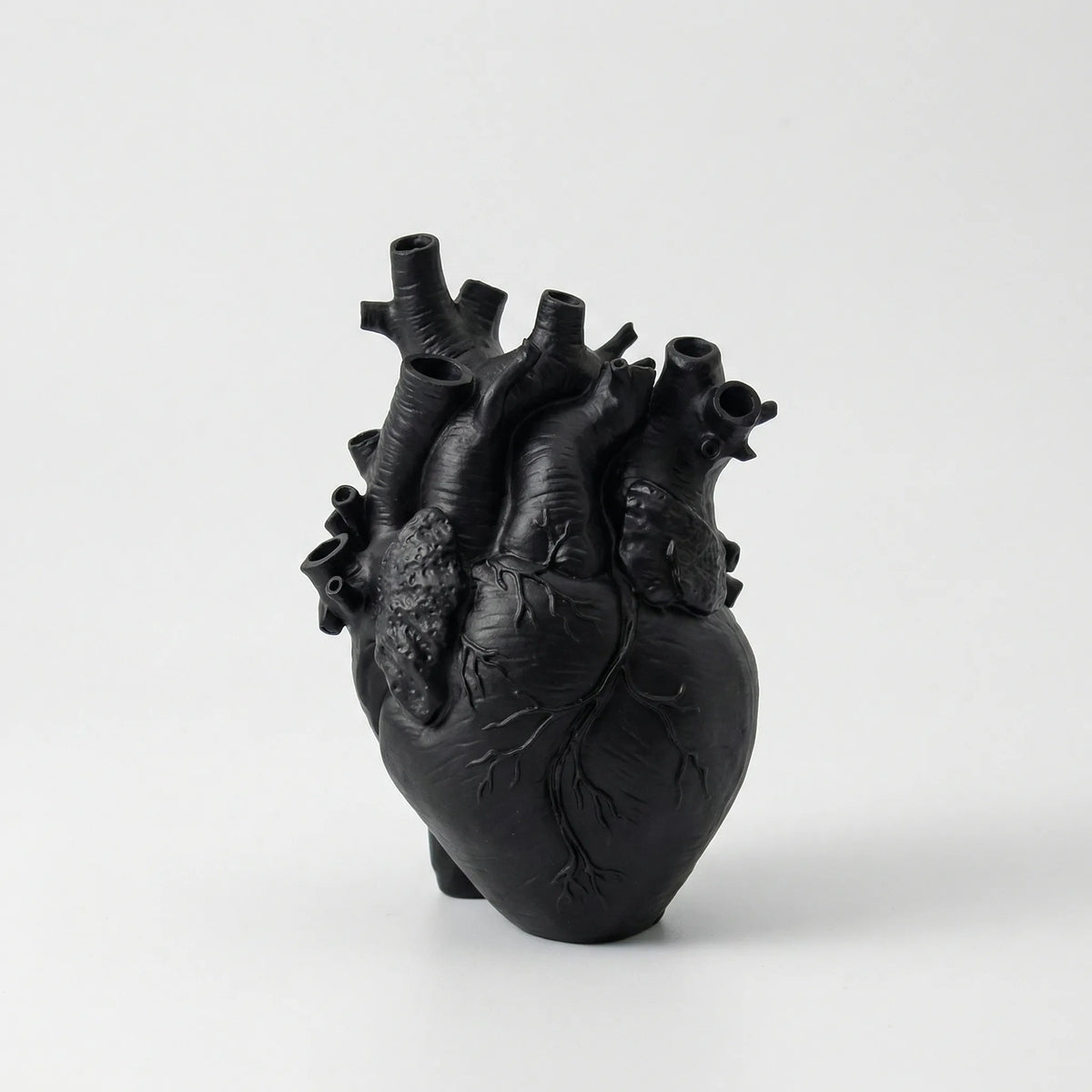 Anatomical Heart Vase