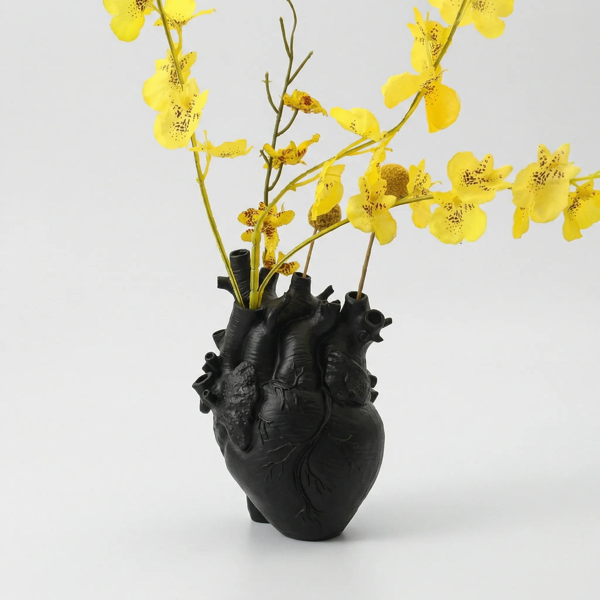 Anatomical Heart Vase