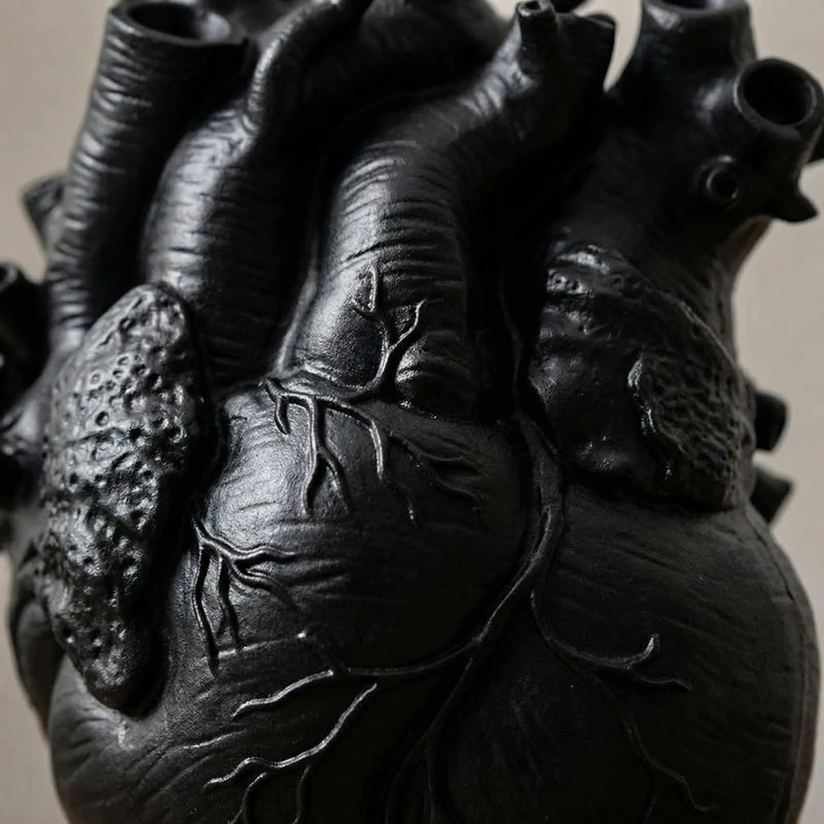 Anatomical Heart Vase