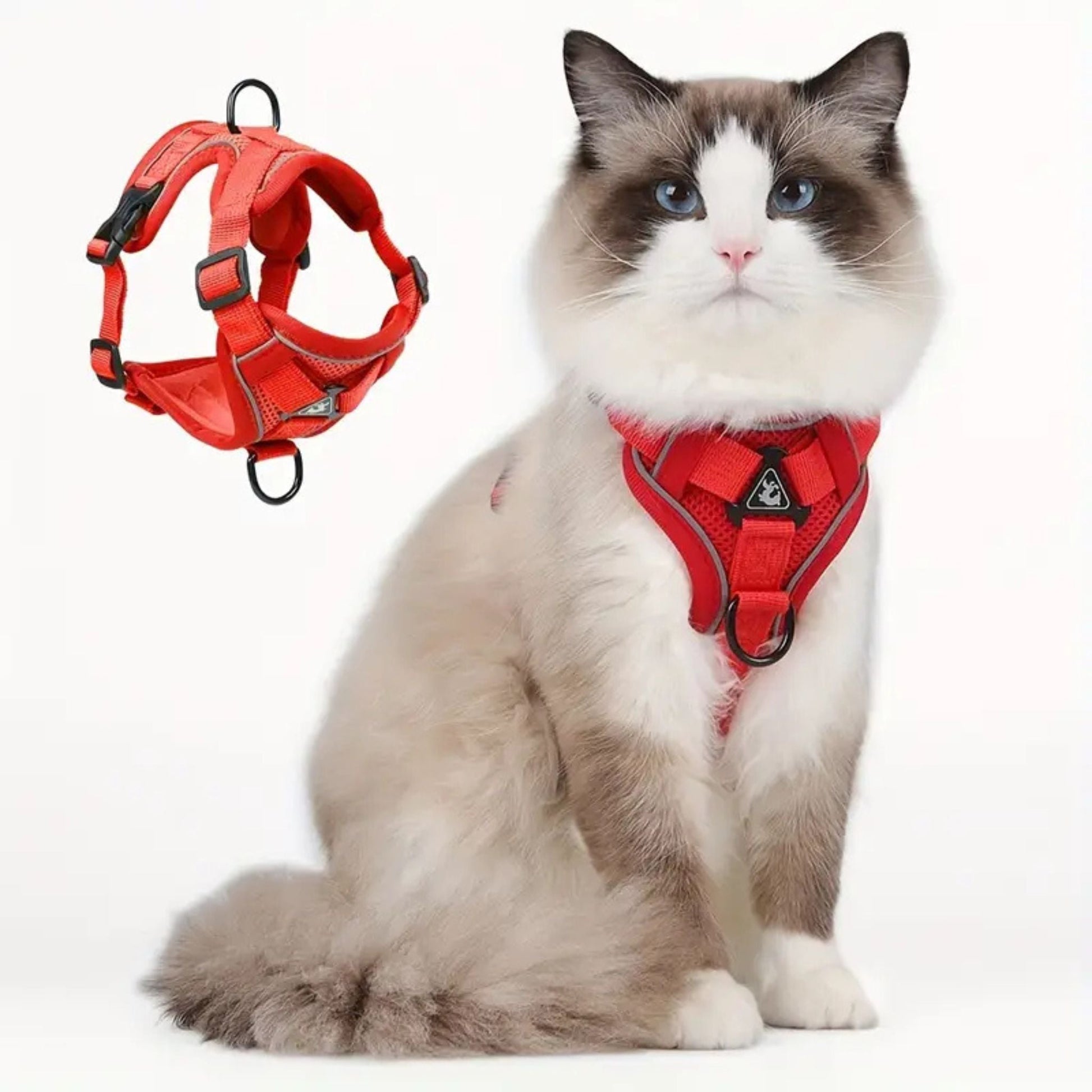 anti-escape cat harness | CATWALKS
