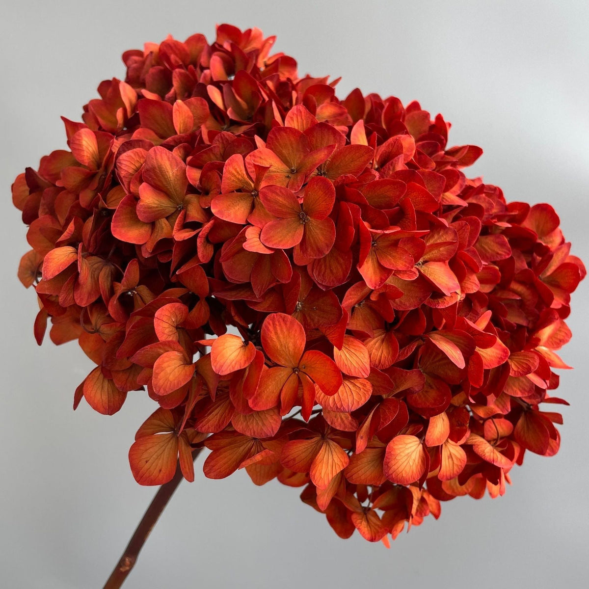 Composition florale d’hortensias artificiels
