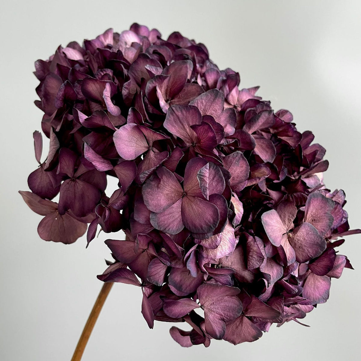 Composition florale d’hortensias artificiels