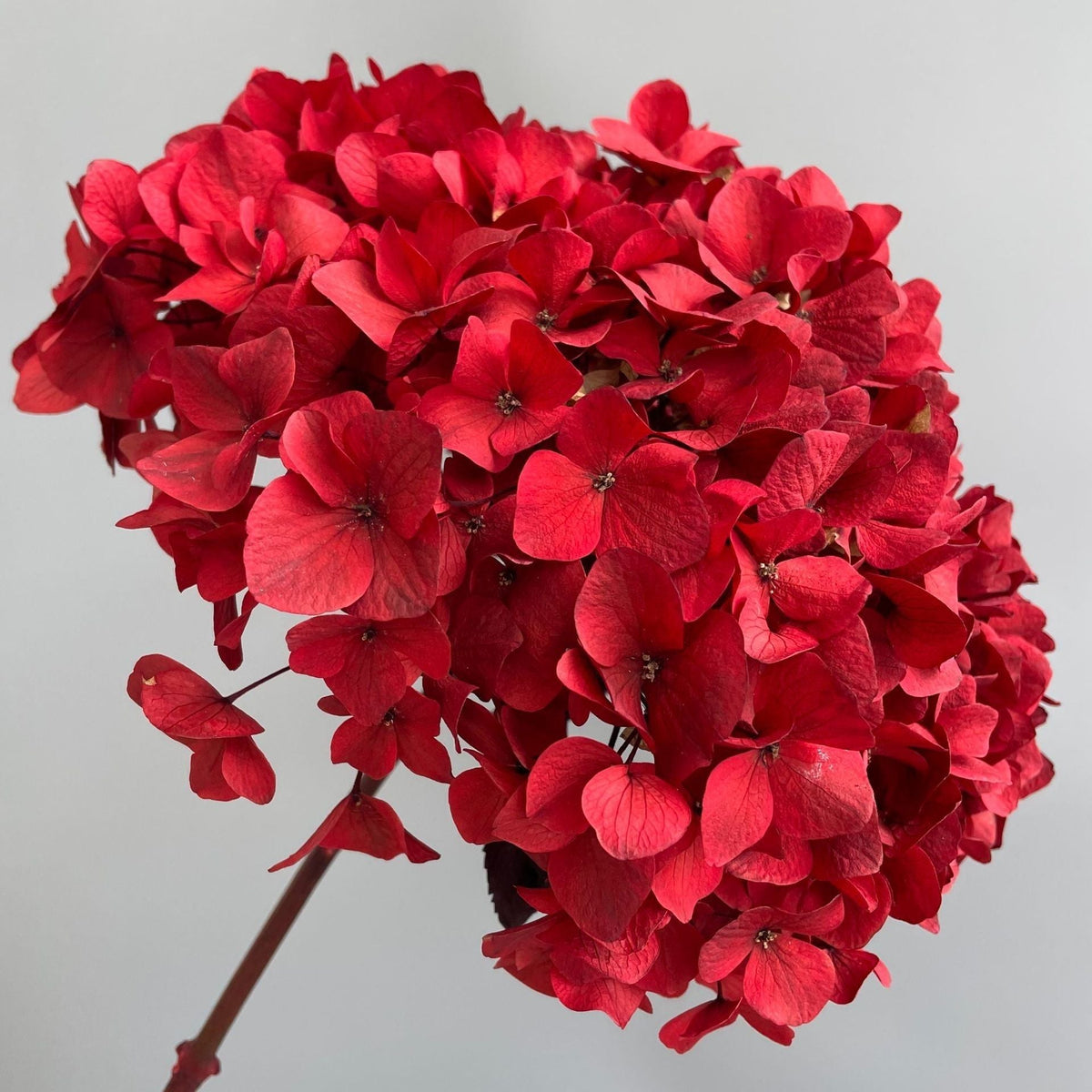 Composition florale d’hortensias artificiels