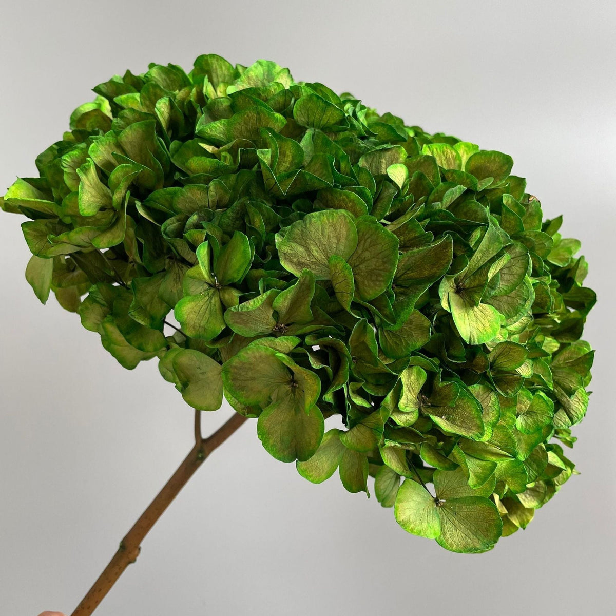 Composition florale d’hortensias artificiels