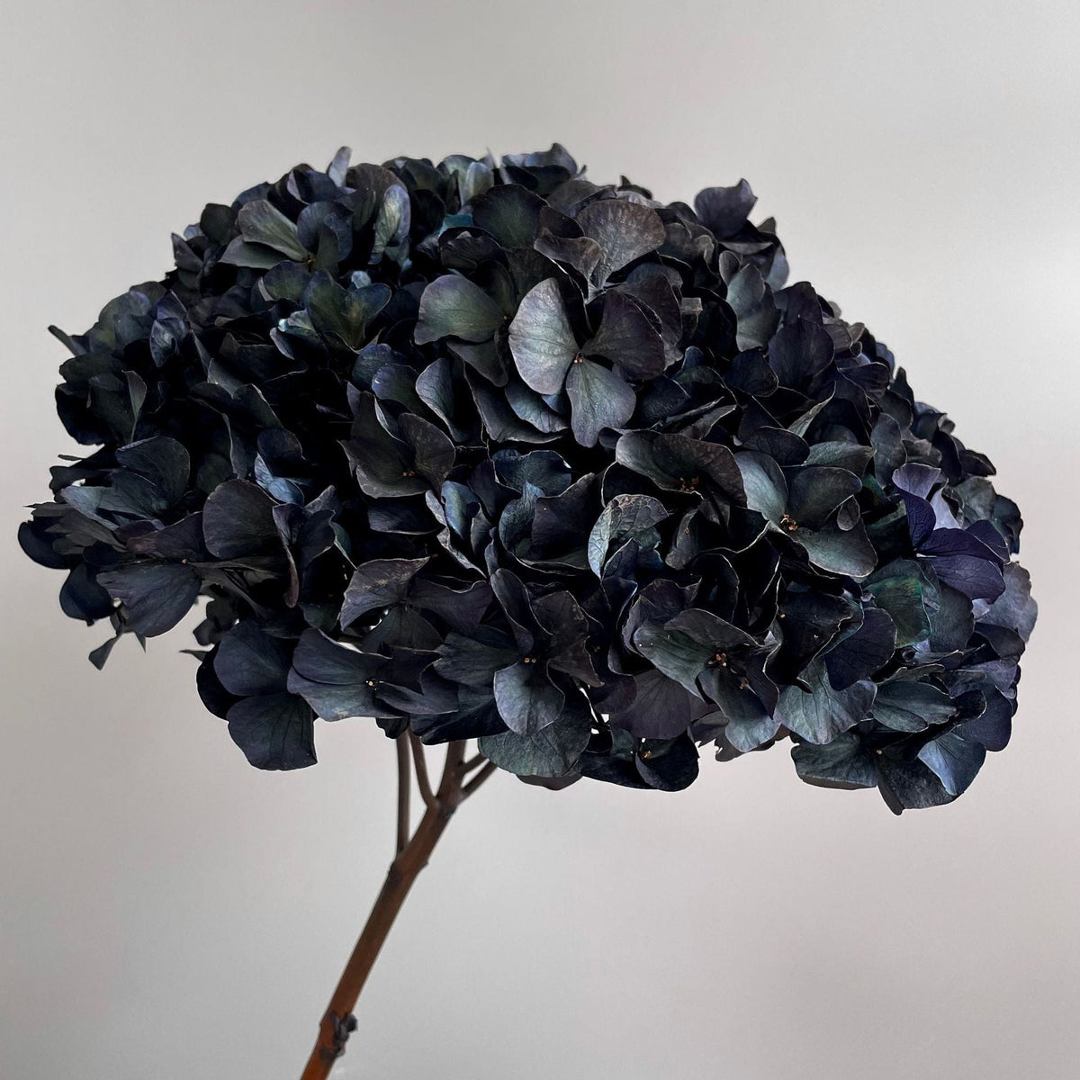 Composition florale d’hortensias artificiels