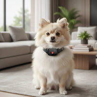 BARKCALM MINI – Collier anti-aboiement doux avec son & vibration pour petits chiens