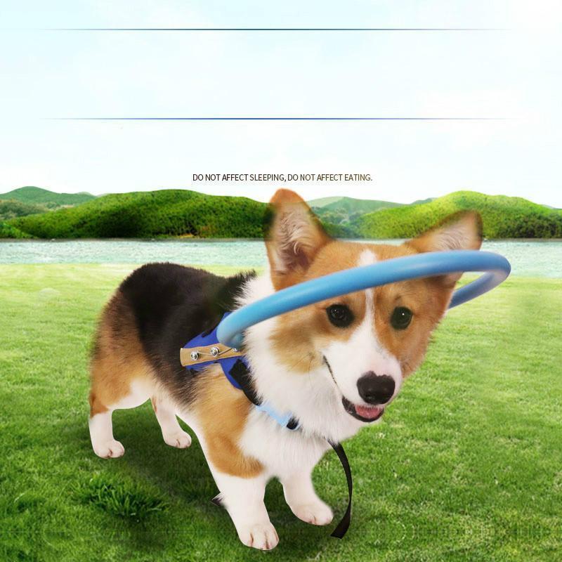 BrightGuide Bumper Collar Harness For Blind Dogs Daily Walk