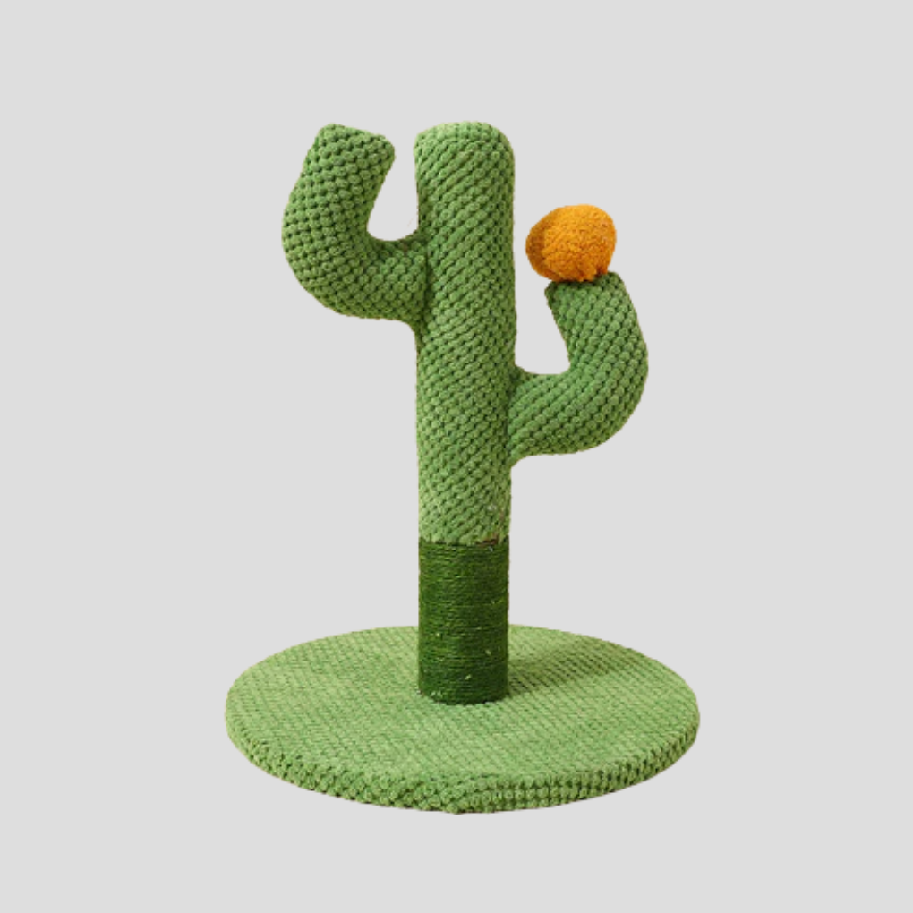 Griffoir cactus en sisal