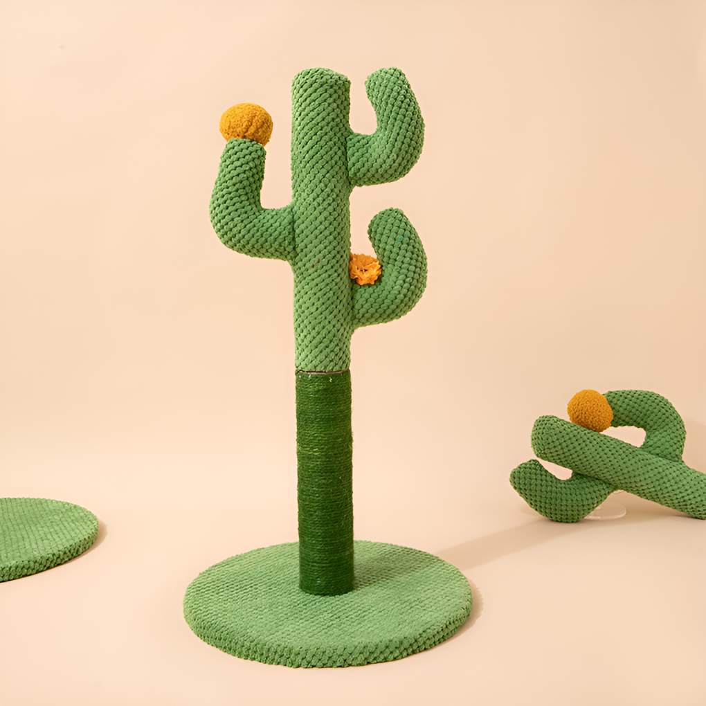 Griffoir cactus en sisal
