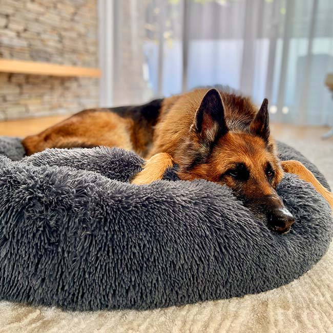 Panier apaisant pour chien