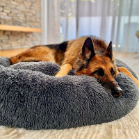 Panier apaisant pour chien