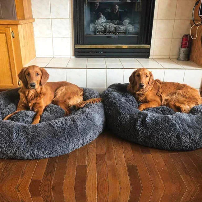 Panier apaisant pour chien