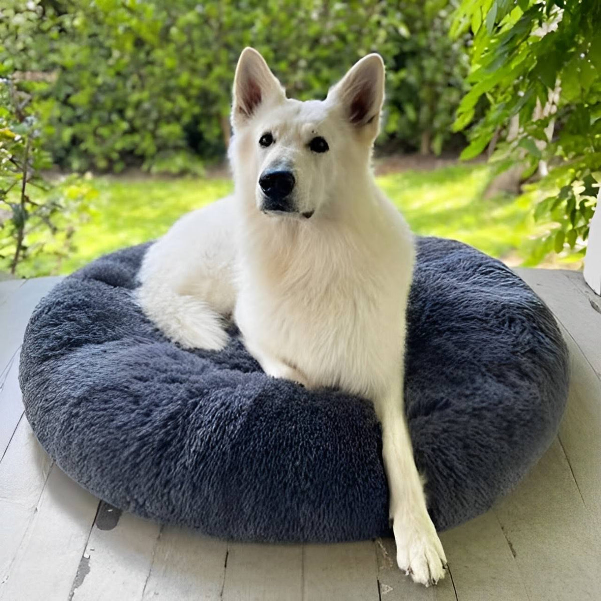 Panier apaisant pour chien