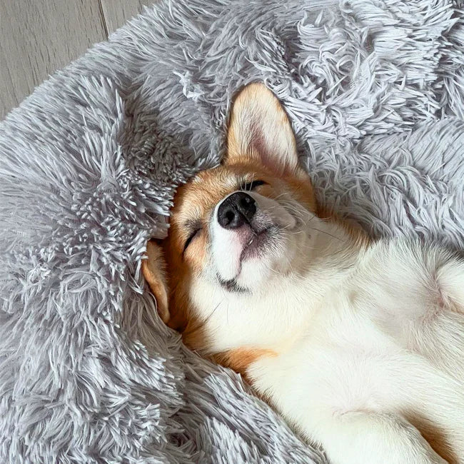 Panier apaisant pour chien