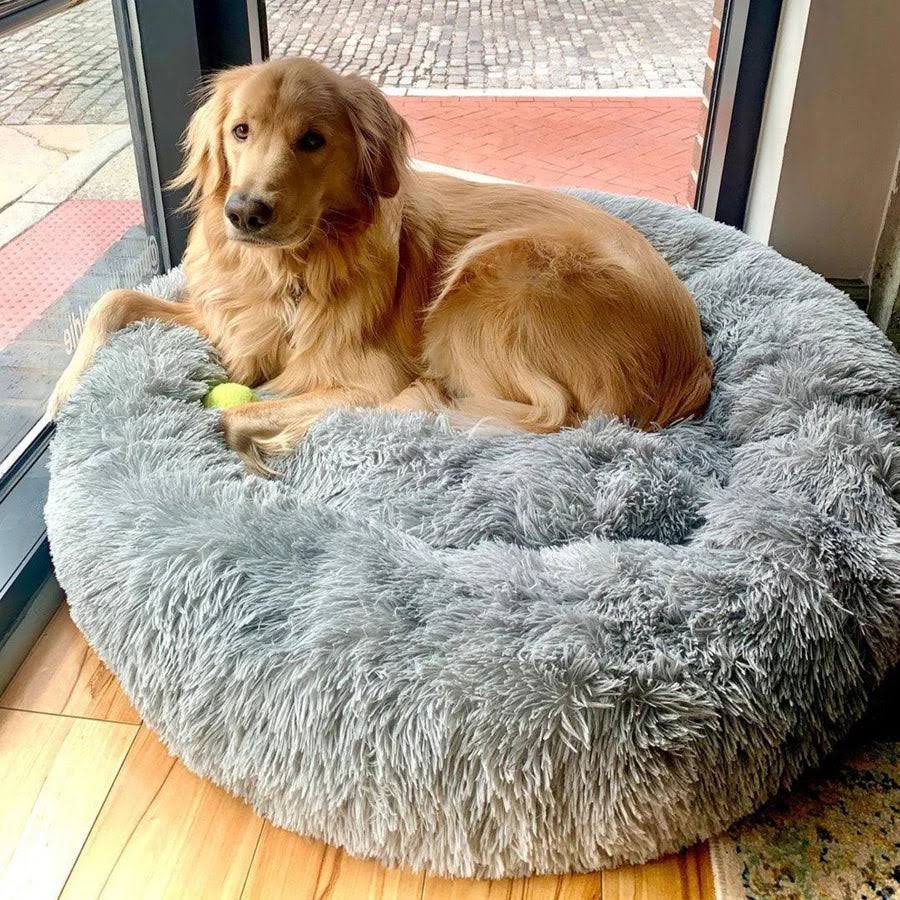 Panier apaisant pour chien