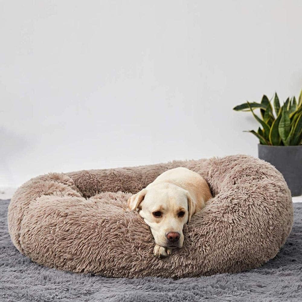 Panier apaisant pour chien