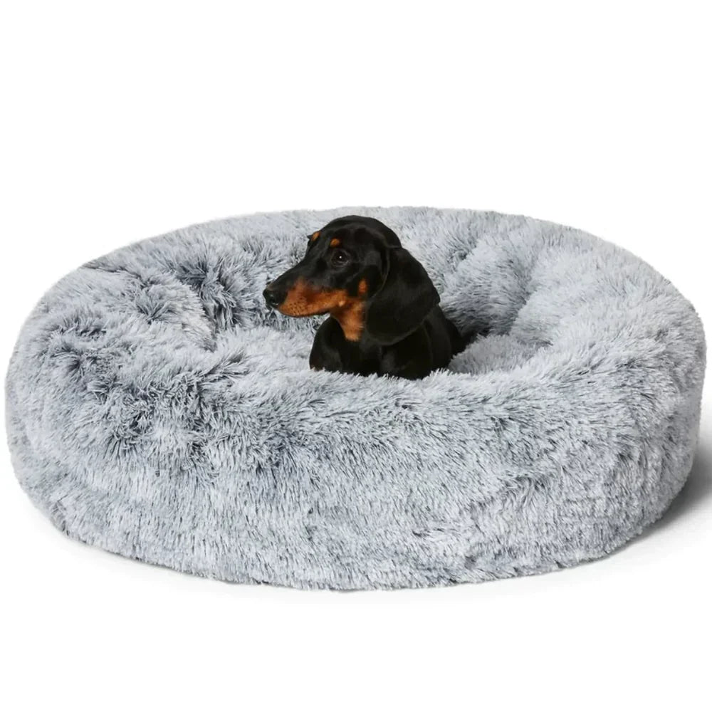 Panier apaisant pour chien