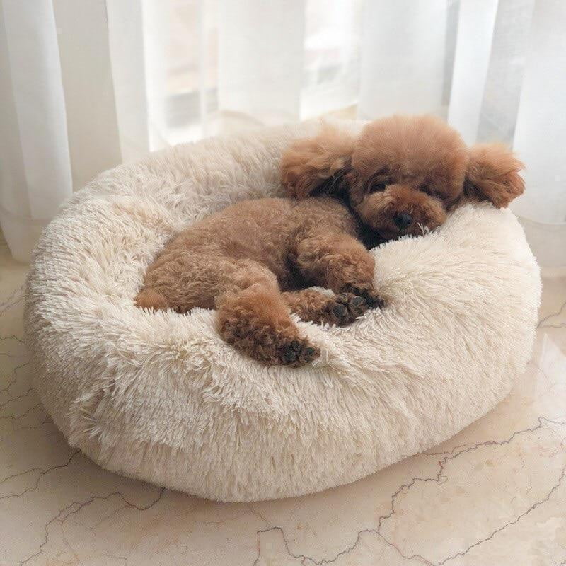 Panier apaisant pour chien