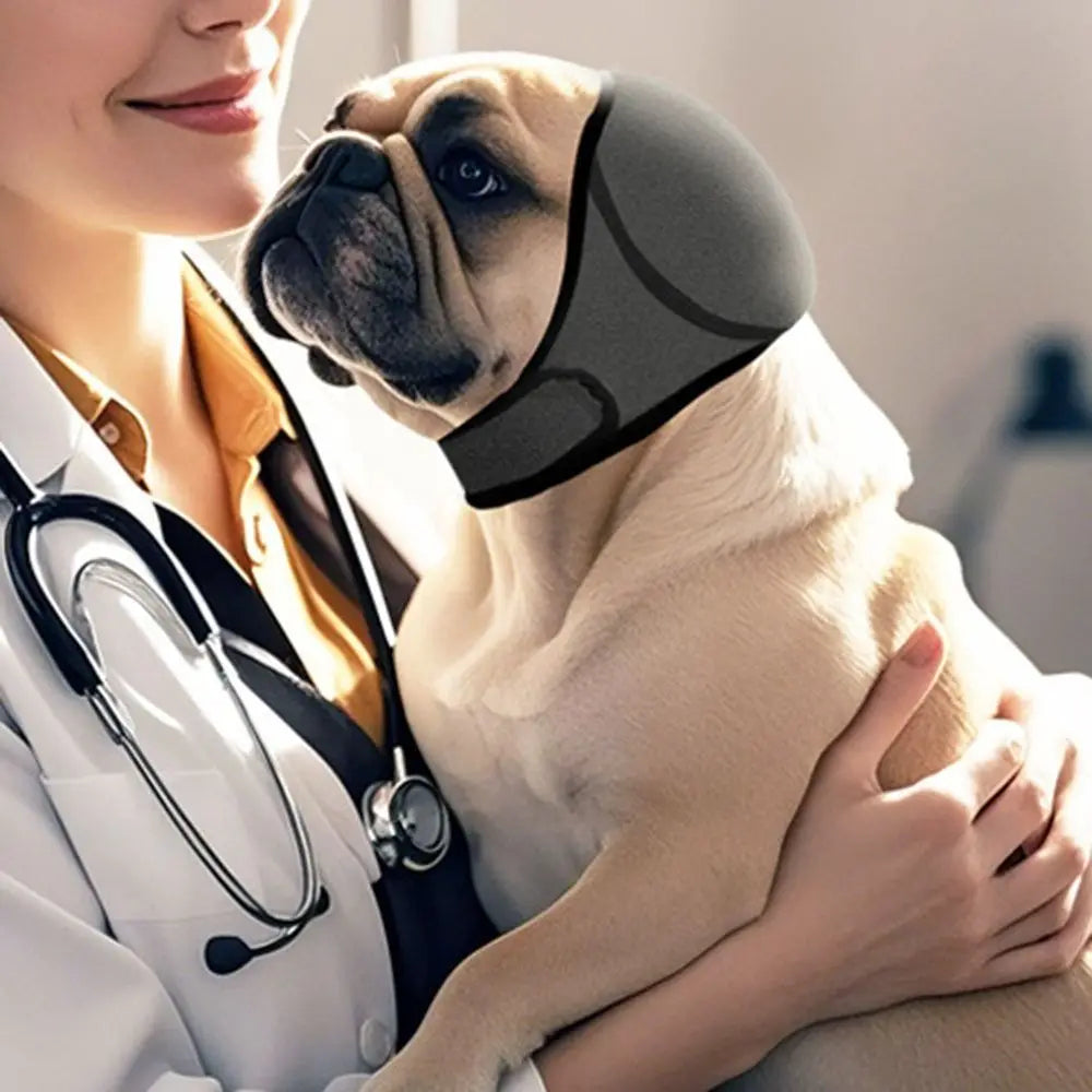 Protège-oreilles apaisants pour chien, réduction du bruit et soulagement de l’anxiété