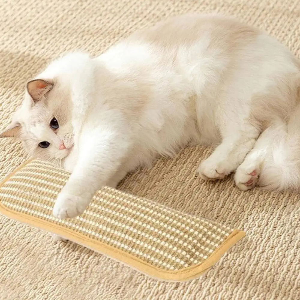 Coussin à griffer pour chat avec surface de grattage durable