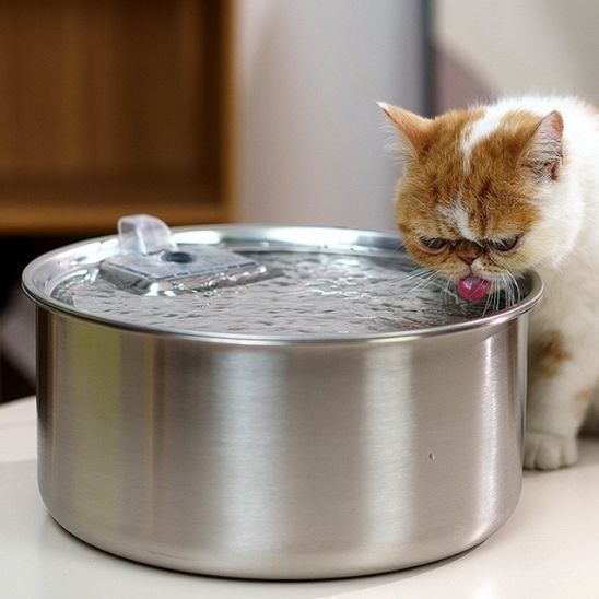 cat water fountain | FRESH WATER