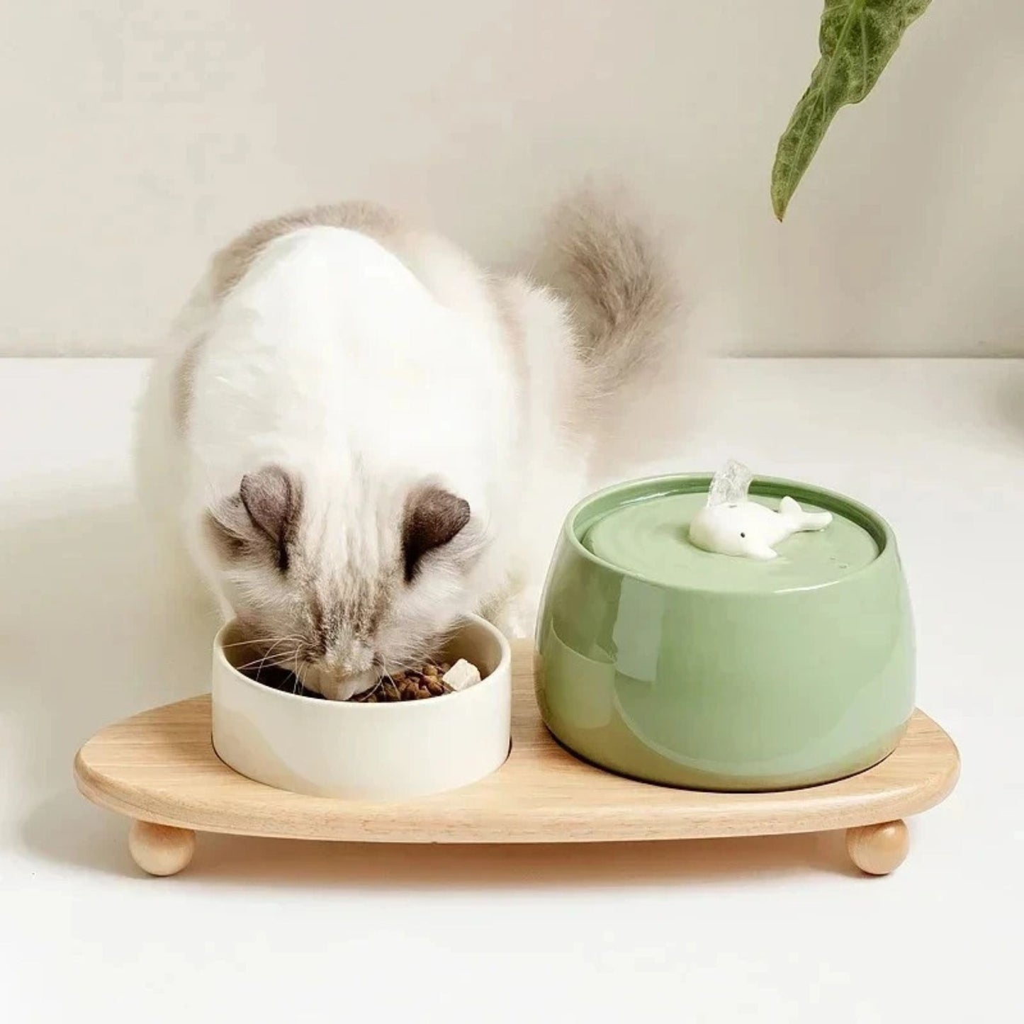CERAMIC CAT WATER FOUNTAIN | AquaCeramic