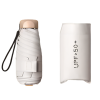 Compact Ultra-Light All-Weather Travel Umbrella