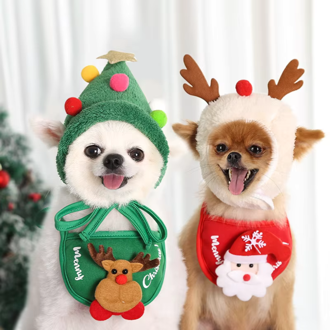 Cute Pet Holiday Hat