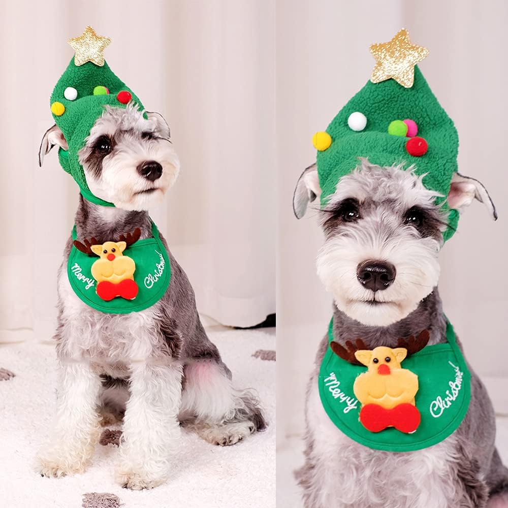 Cute Pet Holiday Hat