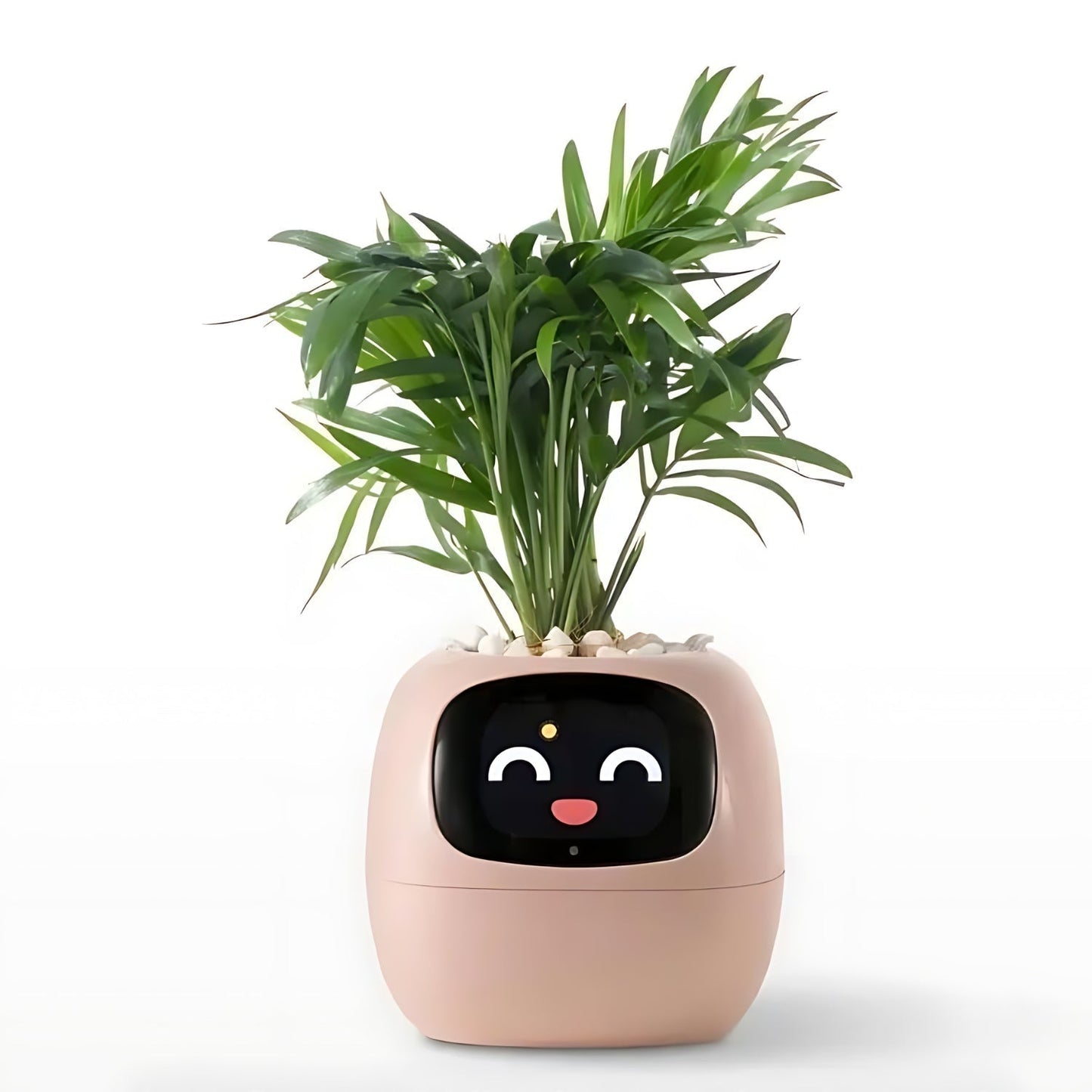 Davy | Automatic Smart Flower Pot - GreenBuddy SmartPot