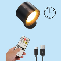 Davy | Battery Timer Lamp for Indoor/Outdoor Use