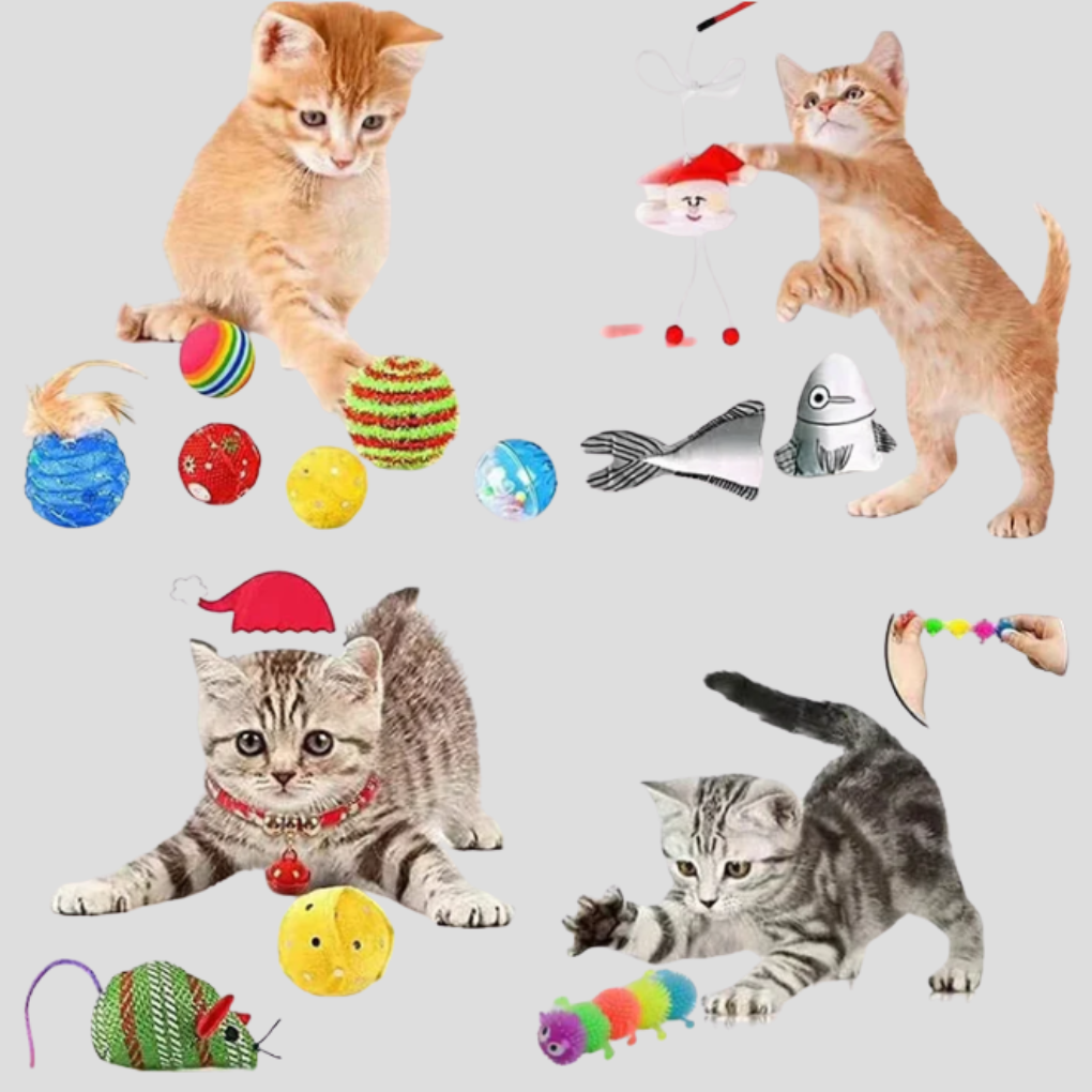 Davy | Cat Toy Advent Calendar for Holiday Countdown Play
