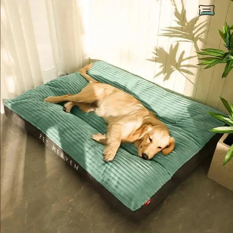 Davy | Cozy and supportive for restful nights
