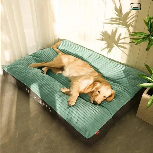 Davy | Cozy and supportive for restful nights