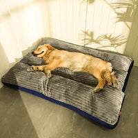 Davy | Sommeil Serein : Lit de Soutien pour Chiens Paisibles