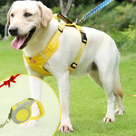 Davy | Dog No-Pull Harness with Padded Comfort and Reflective Accents