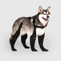 Davy | Protège-pattes pour chiens avec sangles
