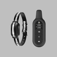 Davy | Collar de adiestramiento para perros con control remoto