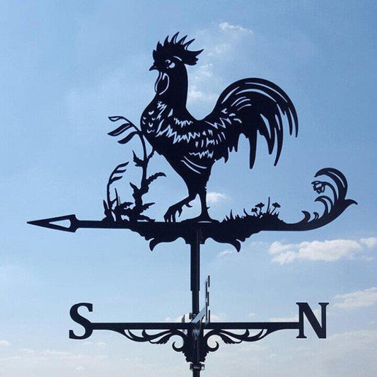 Davy | Eccentric Weather Vane for the Garden – Vintoro