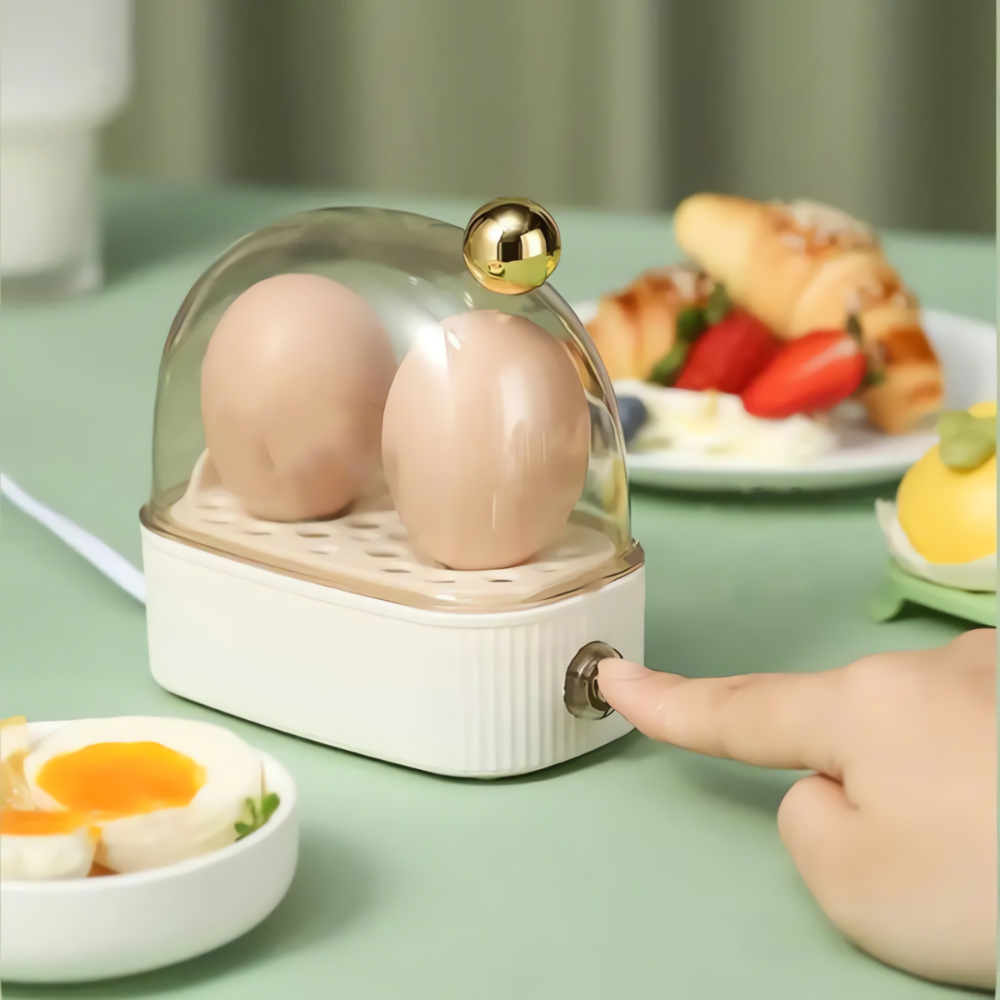 Davy | Electric Egg Cooker Steamer for Breakfast