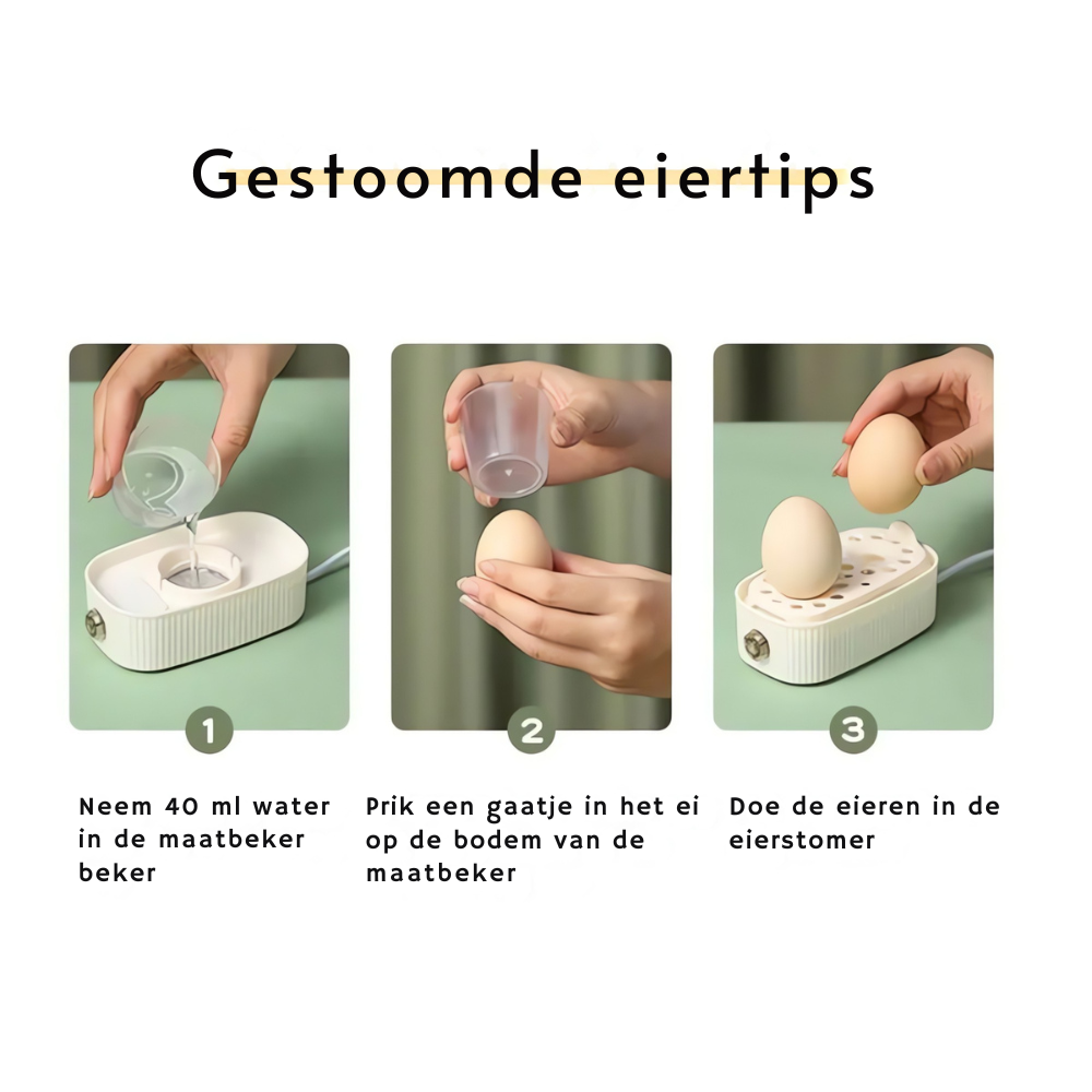 Davy | Electric Egg Cooker Steamer for Breakfast