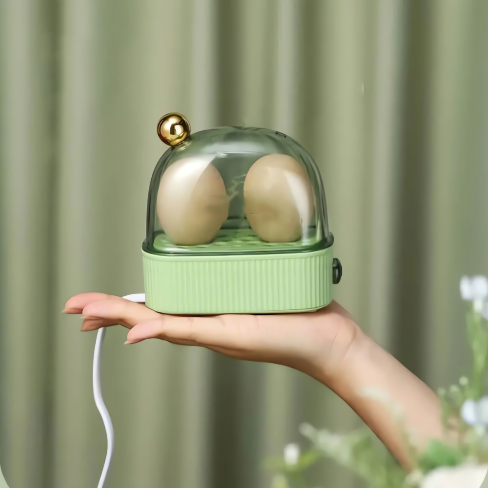 Davy | Electric Egg Cooker Steamer for Breakfast