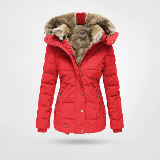 Davy - Fashionable Winter Jacket, Warmly Lined with Hood